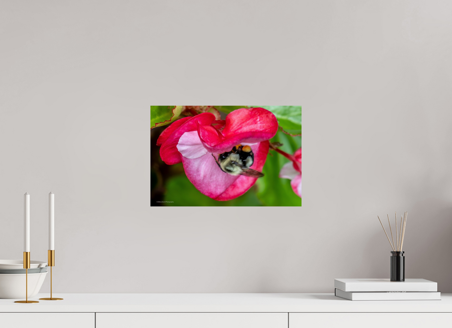 15 x 10″, Photo Print On Fuji Crystal DP II Zillas Zoom Image 101