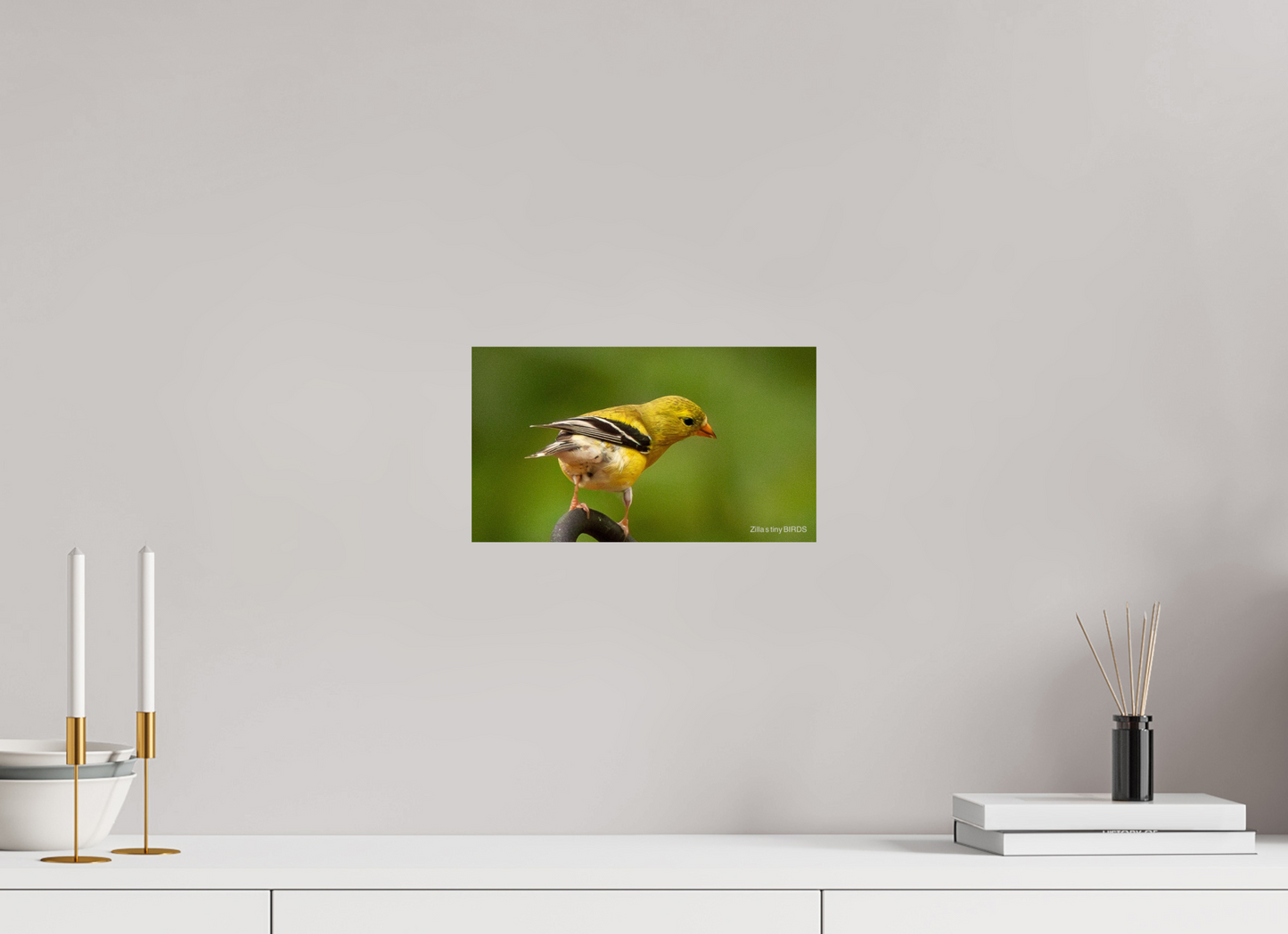 12 x 6.8″, Photo Print On Fuji Crystal DP II Zillas Zoom Image 380