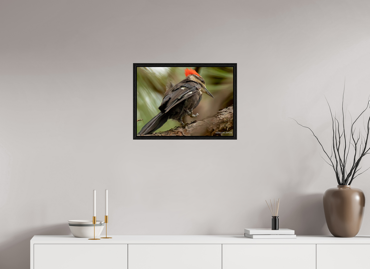 22.4 x 16″, Floater Frame Zillas Zoom Image 333
