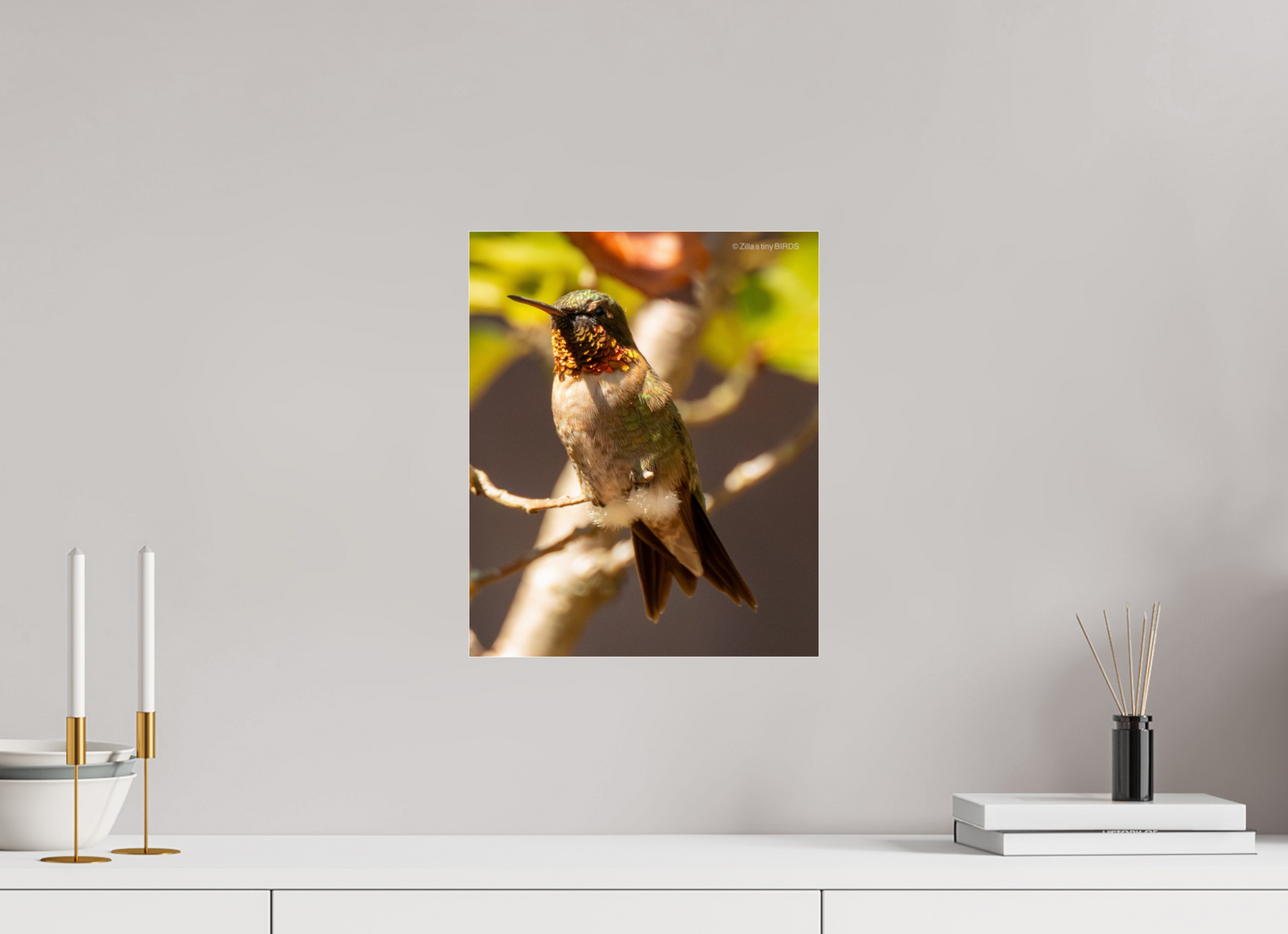 12 x 14.6″, Photo Print Under Acrylic Glass Zillas Zoom Image 454