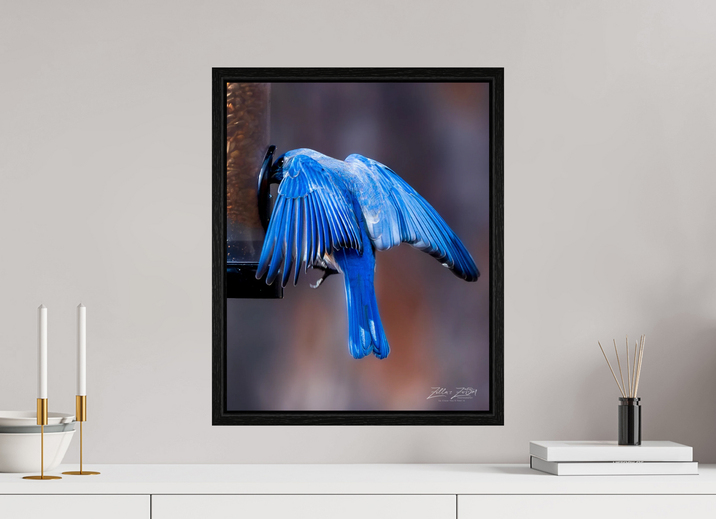 16 x 20″, Floater Frame Zillas Zoom Image 511