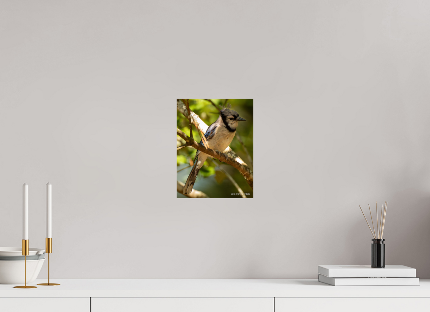 8 x 10.4″, Photo Print On Fuji Crystal DP II Zillas Zoom Image 519