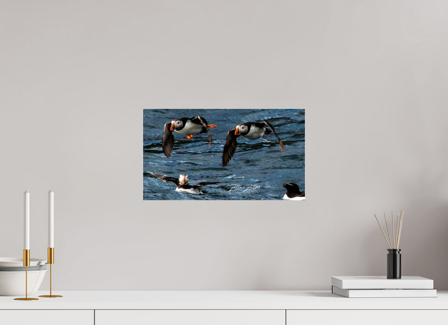 16 x 9″, Photo Print Under Acrylic Glass Zillas Zoom Image 340