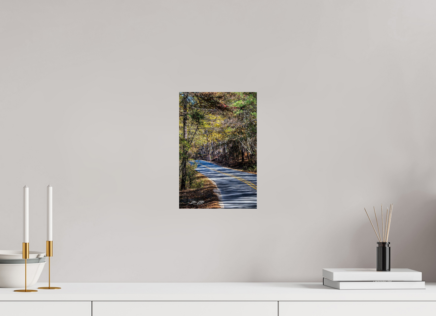 8 x 12″, Photo Print On Fuji Crystal DP II Zillas Zoom Image 264