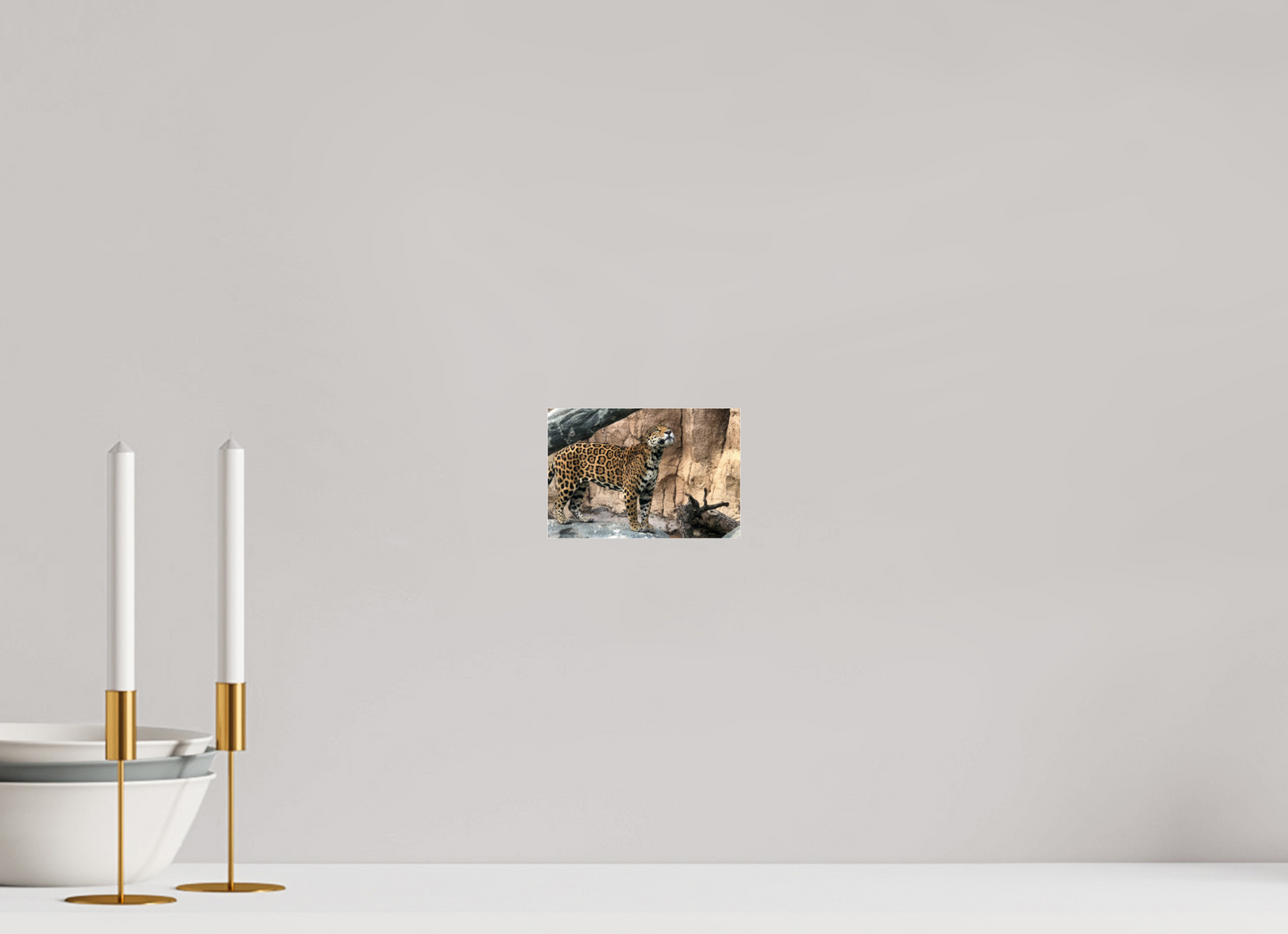 5.9 x 4″, Photo Print Under Acrylic Glass Zillas zoom image 138