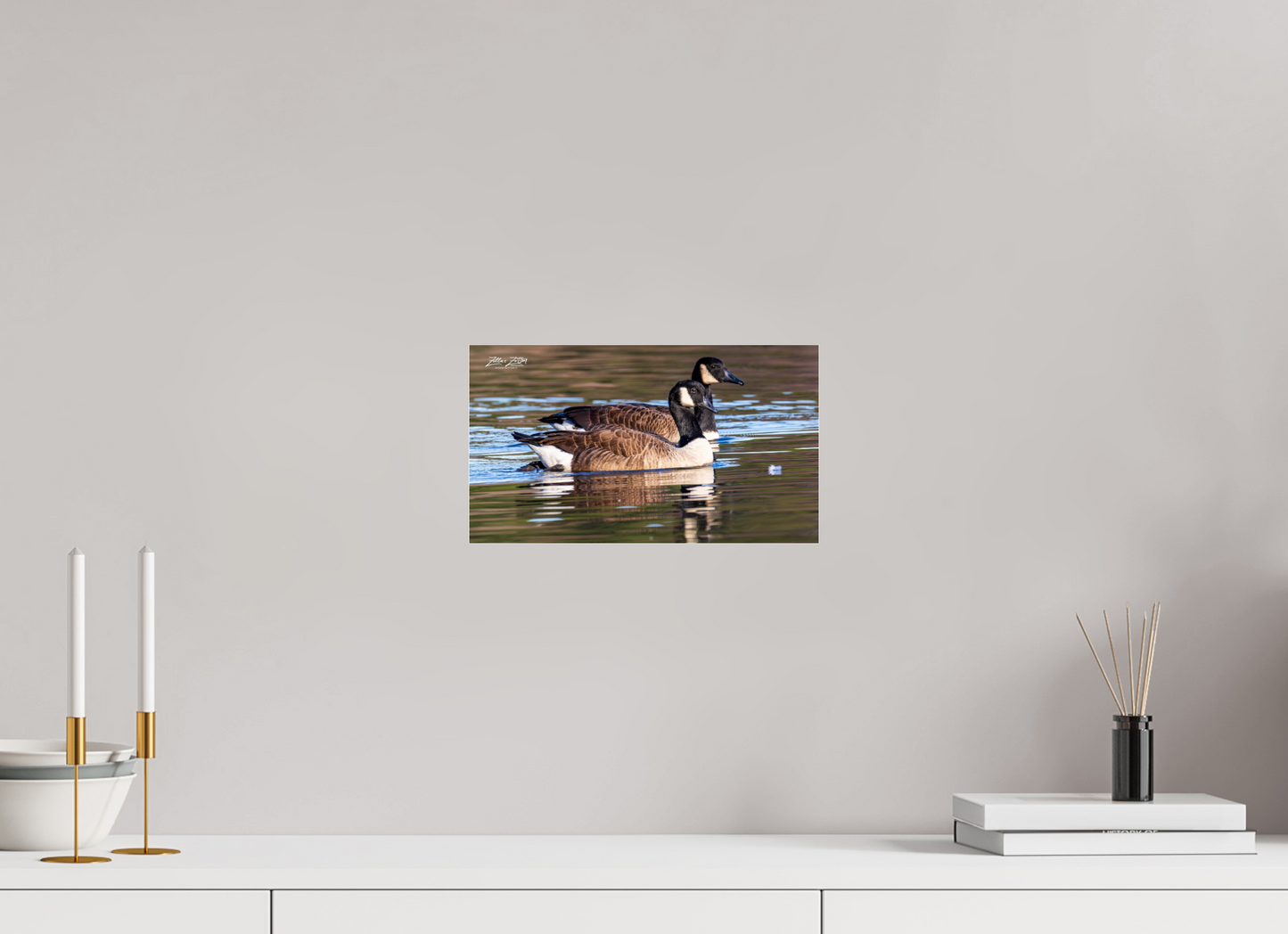 12 x 6.8″, Photo Print Under Acrylic Glass Zillas Zoom Image 279