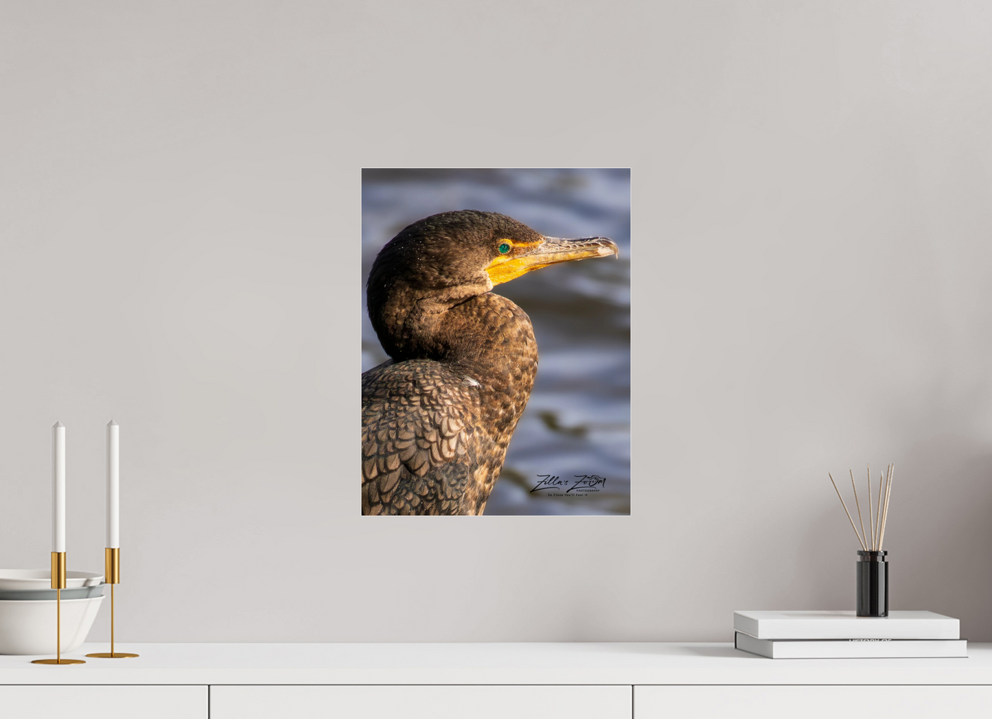 12 x 15.5″, Photo Print Under Acrylic Glass Zillas Zoom Image 398