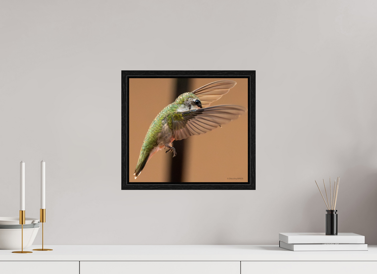 13.7 x 12″, Floater Frame Zillas Zoom Image 376